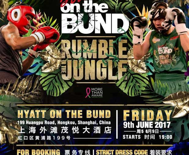 Brawl on the Bund poster